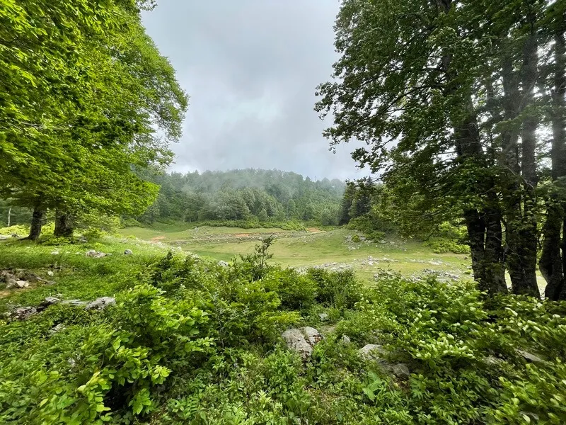 Molla Yakup Cayiri Kamp Alani