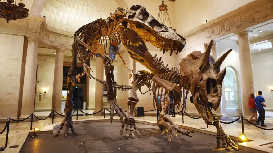 Natural History Museum Of Los Angeles