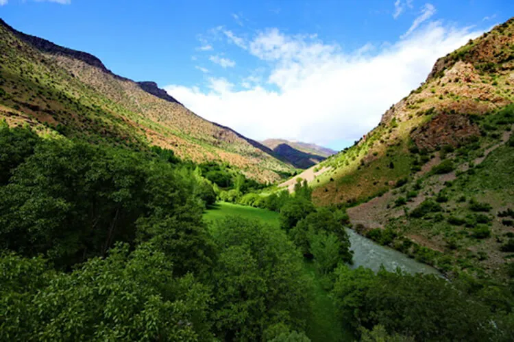 Norduz Yaylası Kamp Alanı