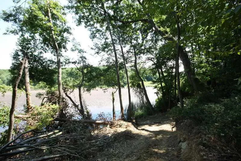 Pedina Golu Kamp Alani