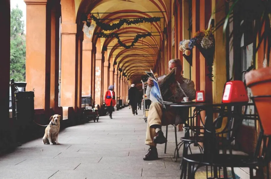 Porticoes