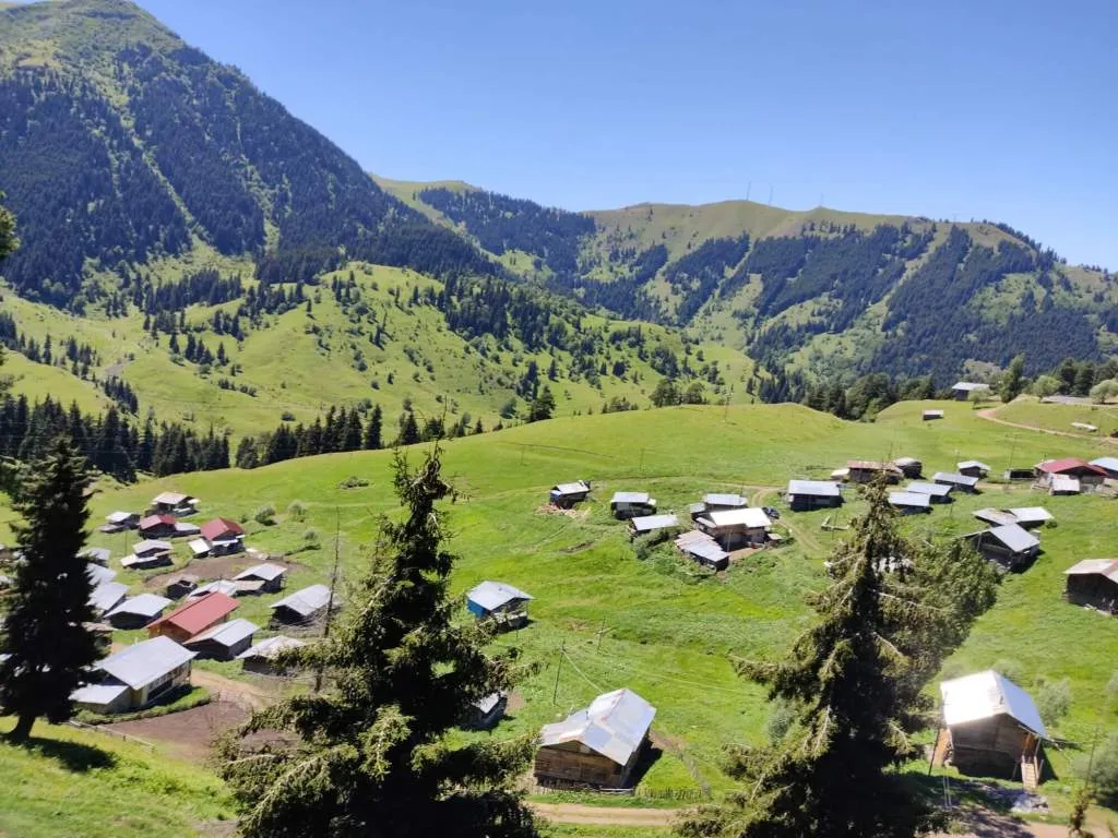 Sahara Yaylası Kamp Alanı