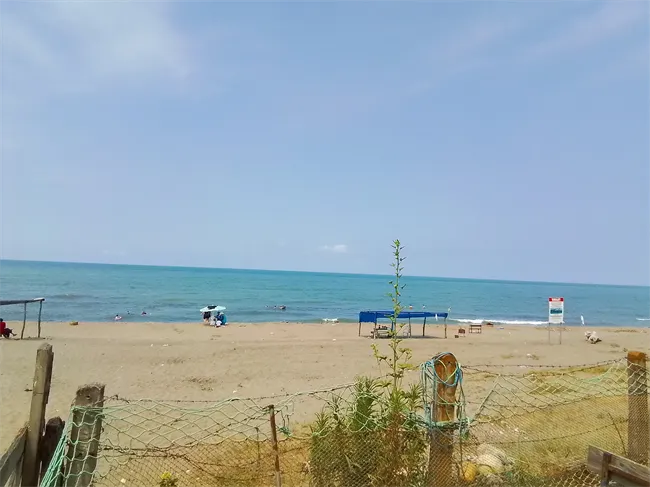 Sahil Camping Palanın Yeri
