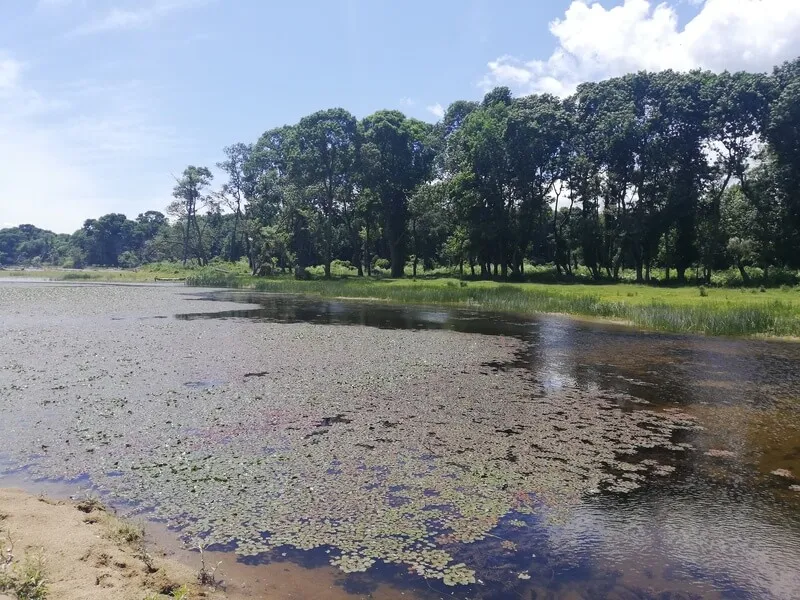 Saka Golu Kamp Alani