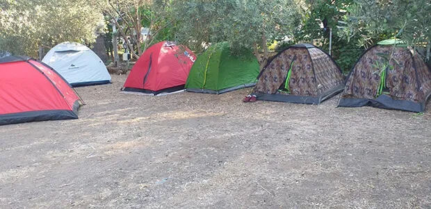 Salkımlı Mevki Kamp Alanı
