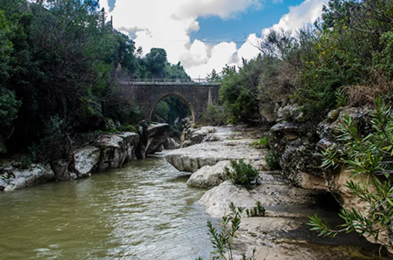 Samandag – Teknepinari Batiayaz Yaylasi Kamp Alani
