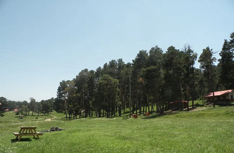 Sarıkamış Soğuksu Mesire ve Kamp Alanı