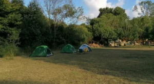 Sarıyer Kamp Alanları – Sarıyer Kamp Yapılacak Yerler