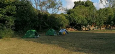 Sarıyer Kamp Alanları – Sarıyer Kamp Yapılacak Yerler