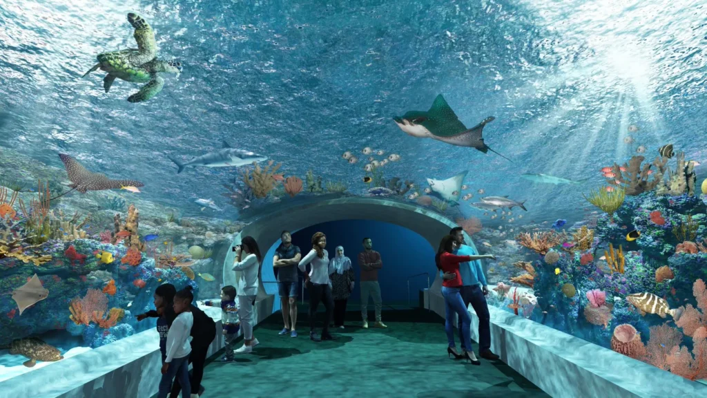Shedd Aquarium