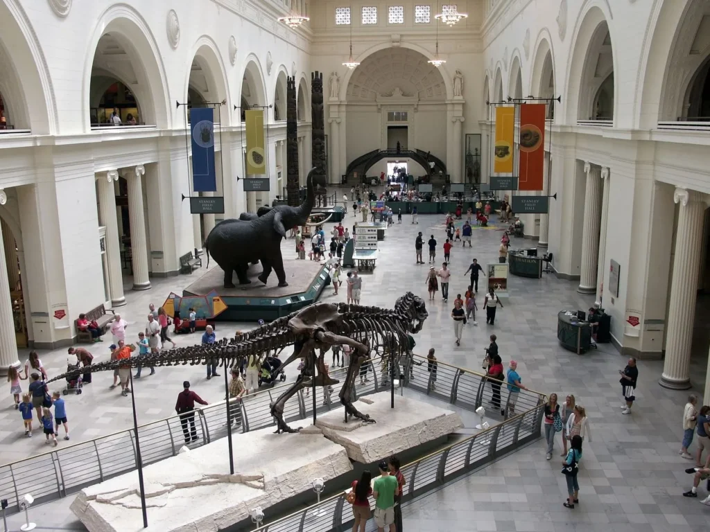 The Field Museum