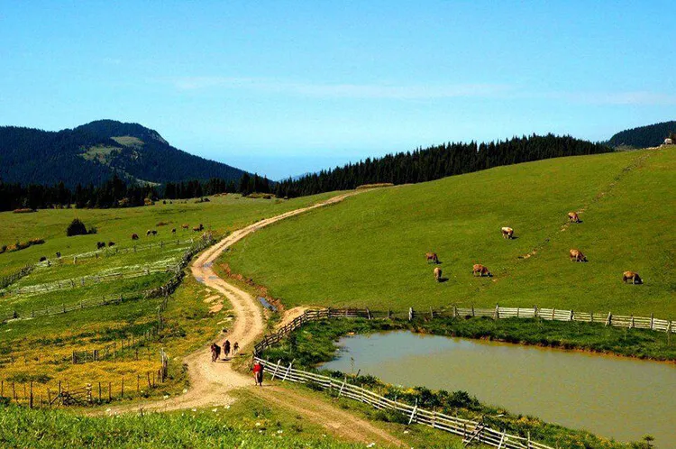 Topçam Yaylası Kamp Alanı