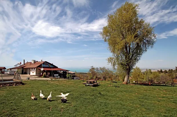 Yakamanastır Tabiat Parkı Kamp Alanı