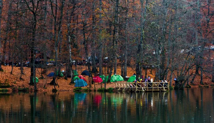 Yedigöller Kamp Alanı