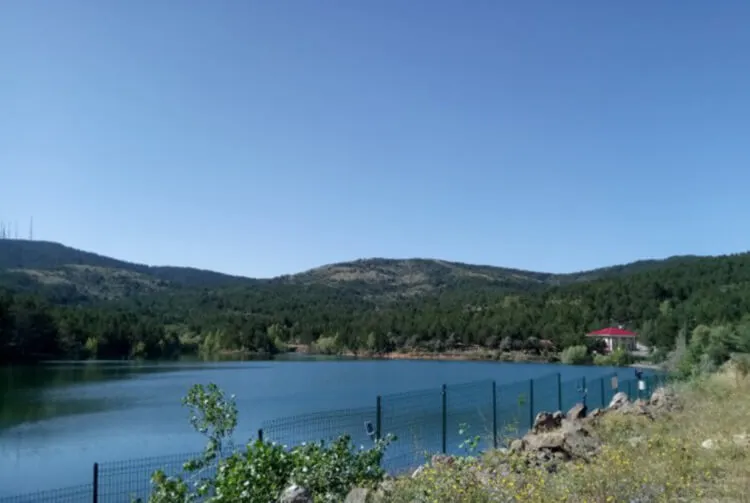 Yozgat Çamlığı Milli Parkı Kamp Alanı