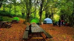Zonguldak Kamp Alanları – Zonguldak Kamp Yapılacak Yerler