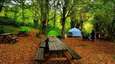 Zonguldak Kamp Alanları – Zonguldak Kamp Yapılacak Yerler