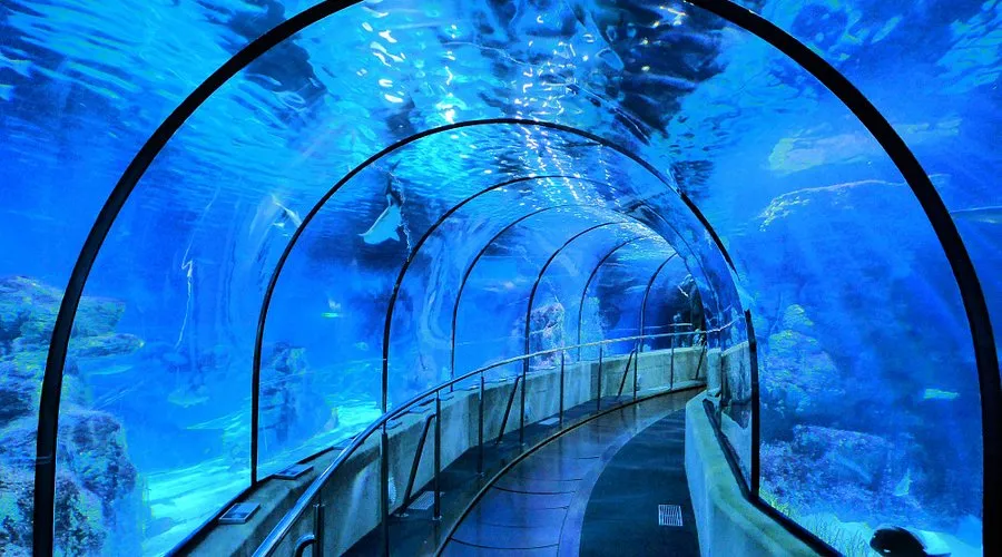 Barselona Akvaryumu Pars