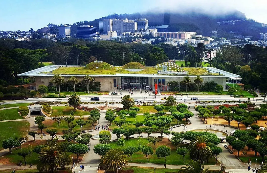 California Academy Of Sciences Pars