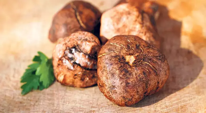 Dobelan Keme Mantari Yemegi