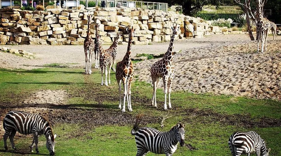 Dublin Zoo