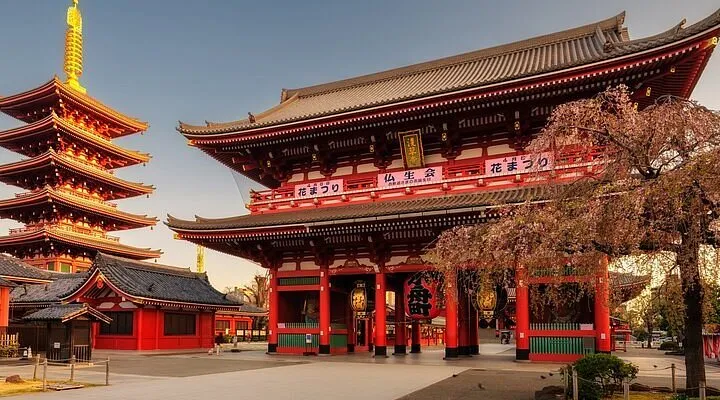 Meiji Tapinagi Pars