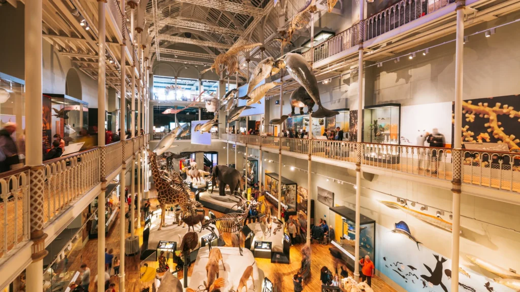 National Museum Of Scotland Pars