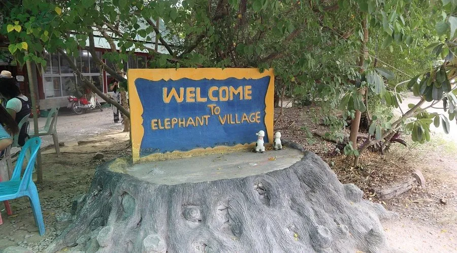 Pattaya Elephant Village (Pattaya Fil Çiftliği)