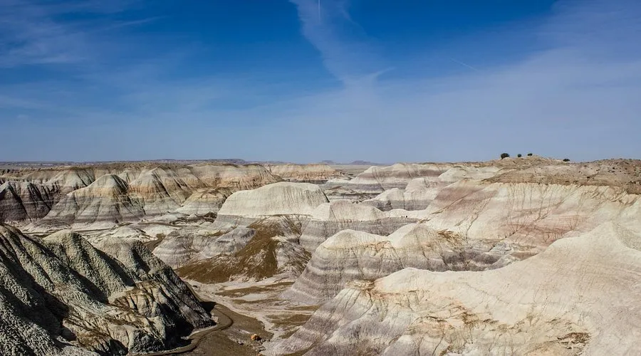 Petrified Forest