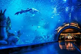 Phuket Aquarium