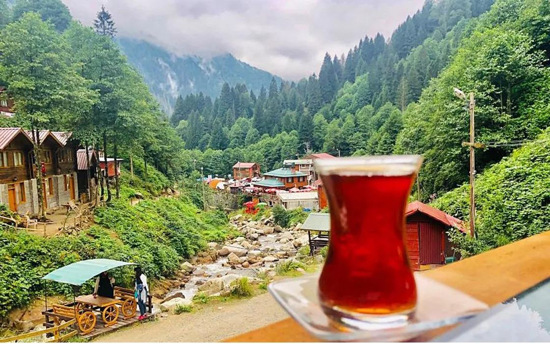 Rize Cayi