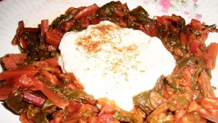 Salgam Pancar Yemegi