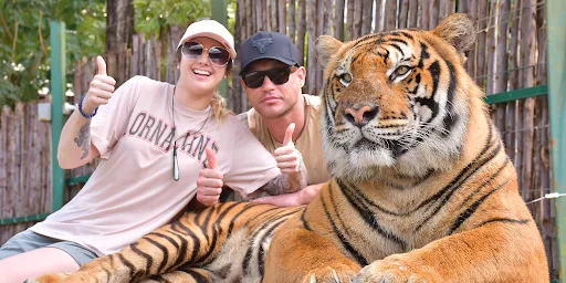 Tiger Kingdom Phuket