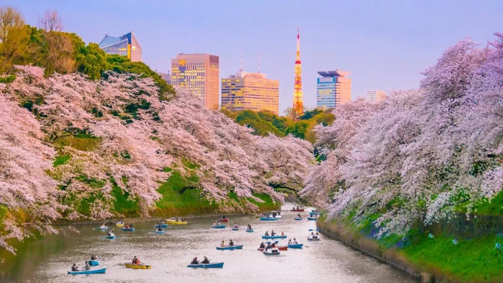 Tokyoda Gezilecek Yerler Kadar Onemli Diger Konular Pars