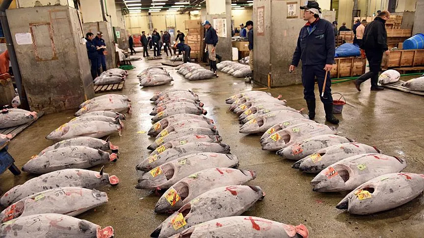Tsukiji Balik Pazari Pars