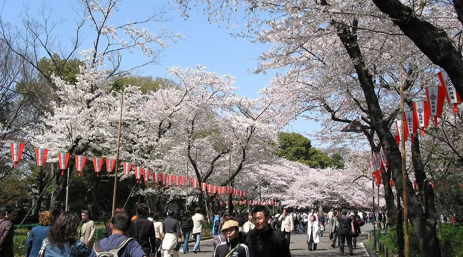 Ueno Parki Pars