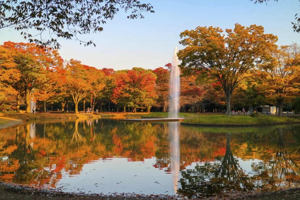 Yoyogi Park Pars