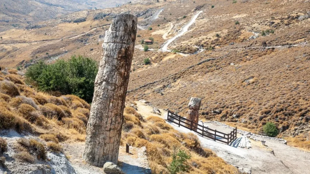 Midilli Müze Kartı ve İndirimli Girişler