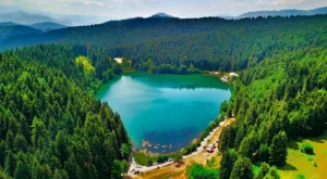 Artvin’den Ne Alınır? Macahel Balından Ahşap Oyma Kaşıklara 10 Doğal Hediye