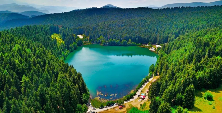 Artvin’den Ne Alınır? Macahel Balından Ahşap Oyma Kaşıklara 10 Doğal Hediye