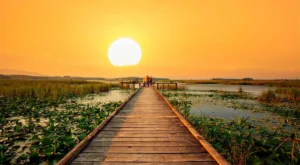 Düzce’de Ne Yapılır? Mutlaka Yaşamanız Gereken 17 Harika Deneyim