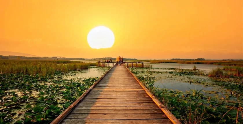 Düzce’de Ne Yapılır? Mutlaka Yaşamanız Gereken 17 Harika Deneyim