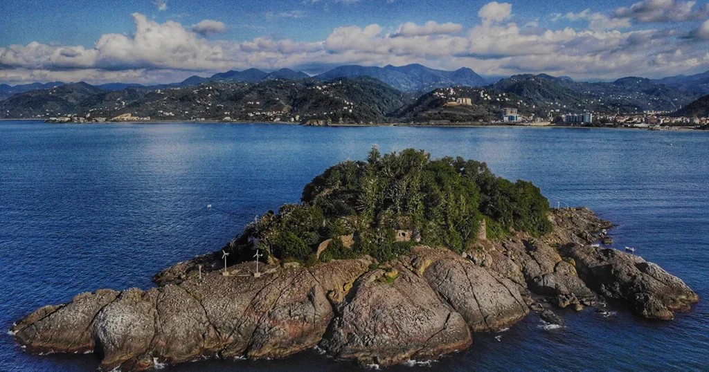 Adanın, Amazonların ve Şehrin Muhafızları (Merkez)