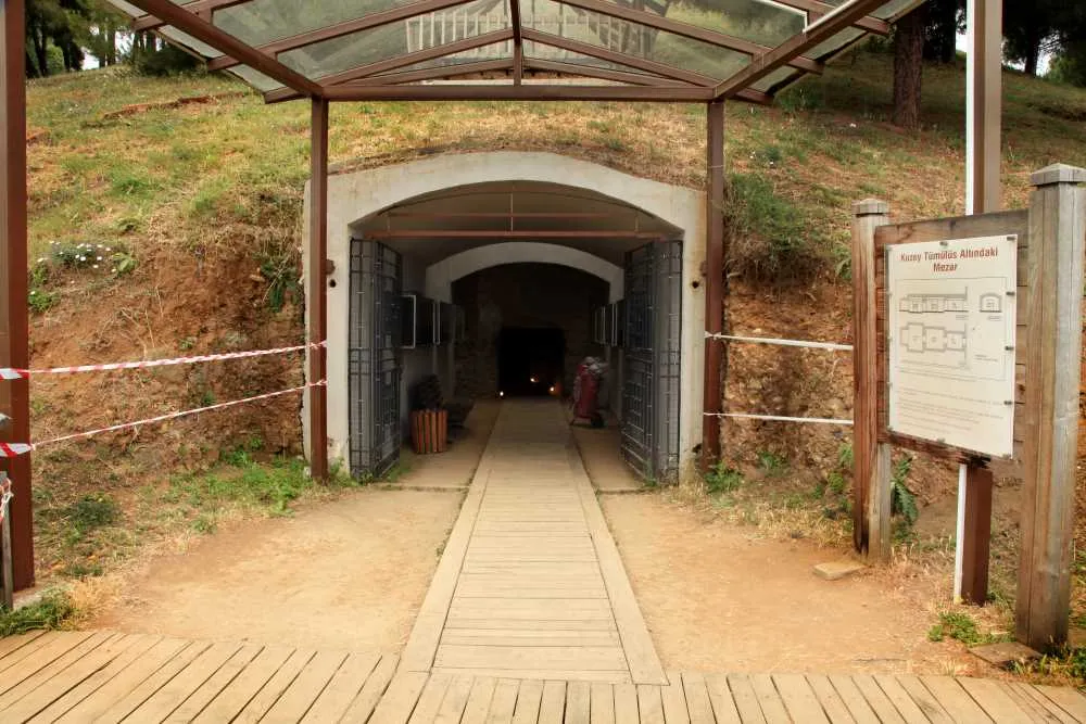 Amazonlar, Krallar ve İlk İnsanlar