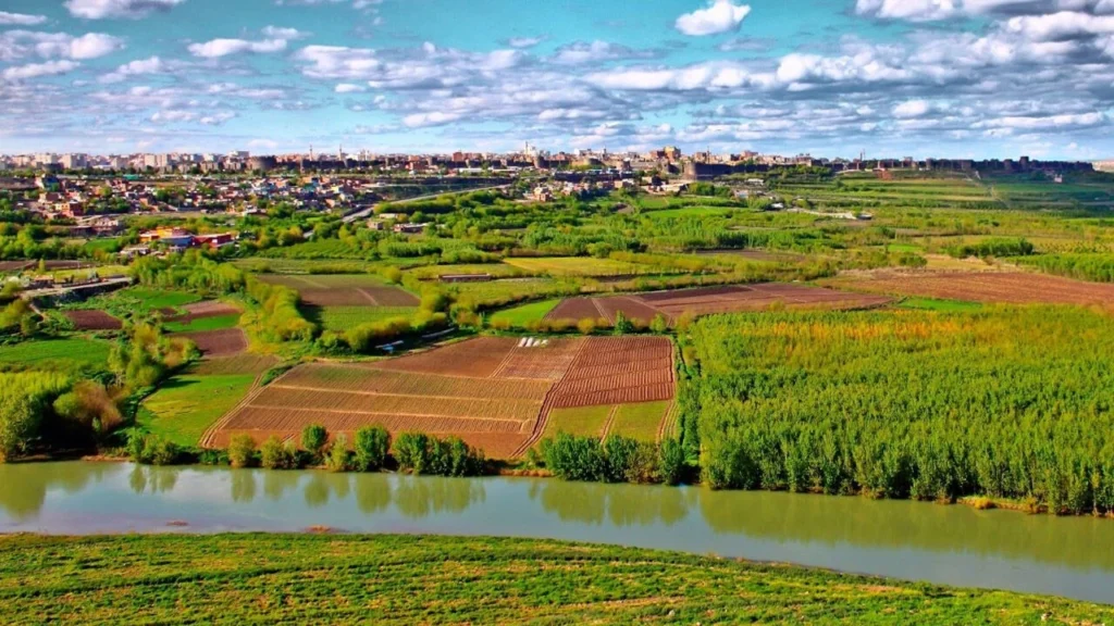 Dicle'nin Şahitleri