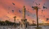 İzmir Tarihi Yerler Rehberi: Antik Dünyanın Merkezi (Efes, Bergama & Agora)