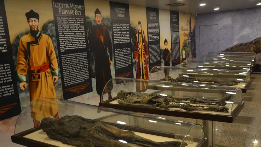 Mumyaların Sırrı, Tıp Dehası ve Şehzadeler