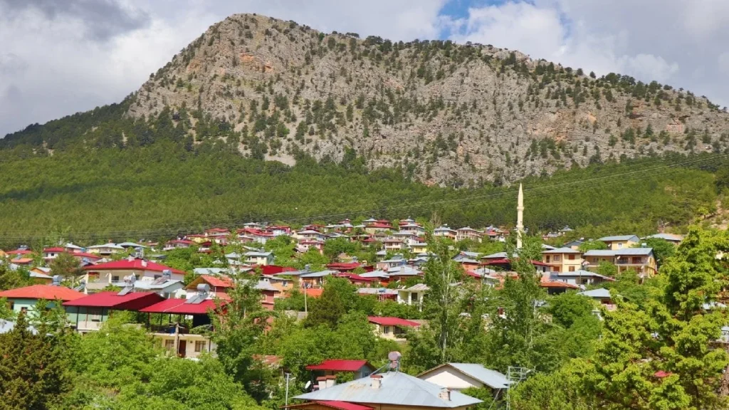 Akçatekir Yaylası