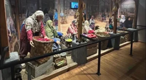 Bartın Müzeler Rehberi: “Çeşm-i Cihan”ın Hazineleri (Tüm Amasra, Kent, Etnografya ve Yaşayan Müzeler Rehberi)