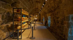 Muğla Müzeler Rehberi: Bodrum Kalesi’nin Sırları (Tüm Sualtı Arkeoloji, UNESCO ve Kent Müzeleri Rehberi)